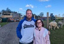 Eco-Conscious Family Living Off-Grid Faces Demolition Order for Paradise Shipping Container Home – Container Homes Builder